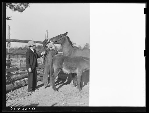 FSA (Farm Security Administration) supervisor and client. Pike County, Alabama