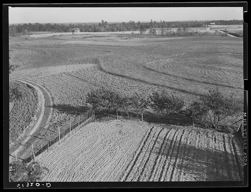 Land on Jackson place from roof. Greene County, Georgia