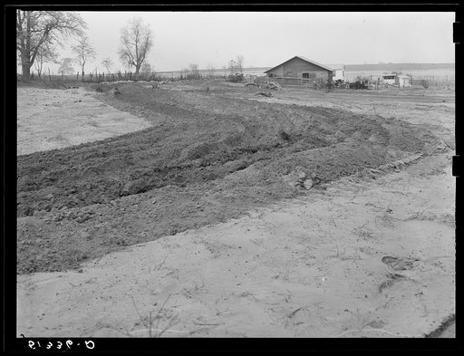 Terracing land. Coffee County, Alabama