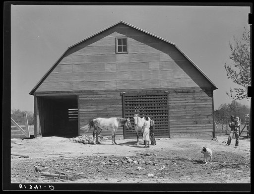 Repaired barn and two mares belonging to George Johnson, tenant purchase client. Pike County, Alabama
