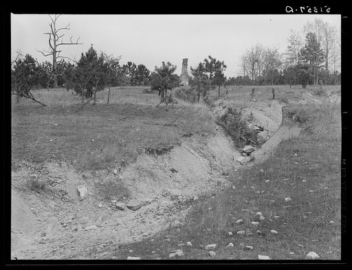 Untitled photo, possibly related to: Land on Jackson place from roof. Greene County, Georgia