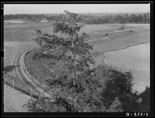 Land on Jackson place from roof. Greene County, Georgia