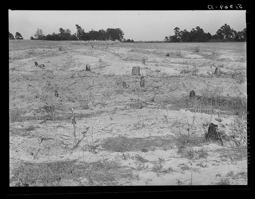Eroded and cut-over land. Greene County, Georgia