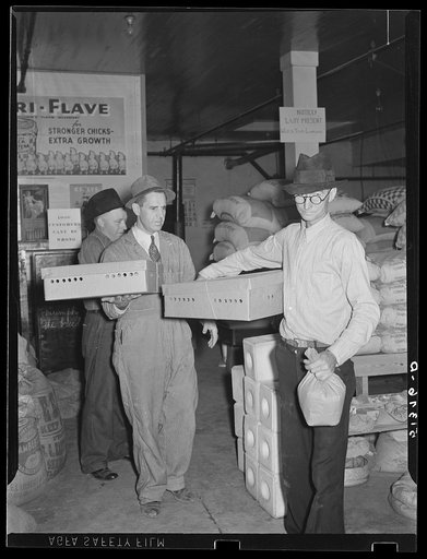 Farmer buying baby chicks, Farmers' exchange, Enterprise, Alabama