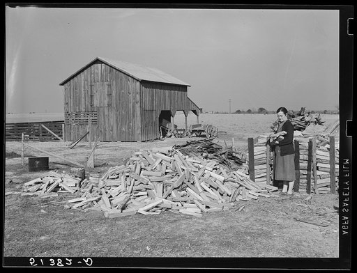 A large and neat woodpile of project family. Coffee County, Alabama