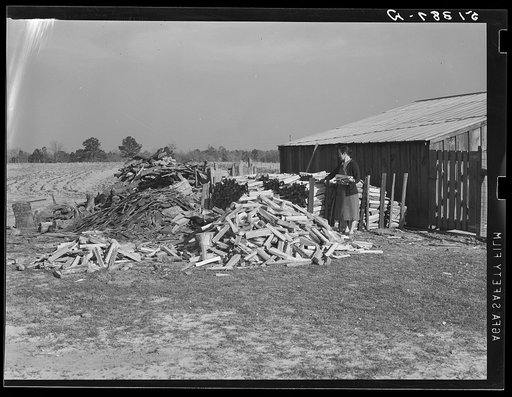 A large and neat woodpile of project family. Coffee County, Alabama