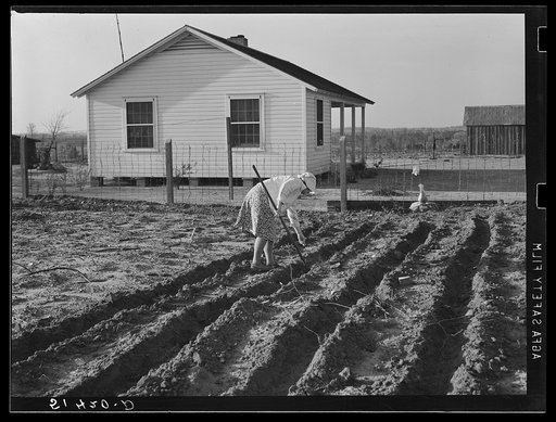 Spring planting in a project garden. Coffee County, Alabama