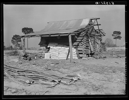 A common sight in Coffee County, and the south in general. A stack of fertilizer worth much more than the shed or any other of family's belongings, consuming all their cash or bought on credit. Coffee County, Alabama