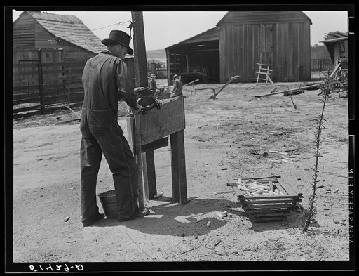 Mr. E.H. Wise, shelling corn, RR (Rural Rehabilitation)  family (see 51411-D). Coffee County, Alabama
