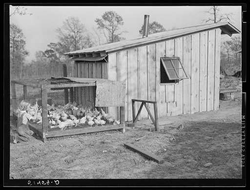 Project family's poultry house. Coffee County, Alabama