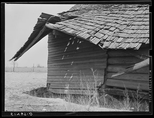 Section of old deserted house. Coffee County, Alabama