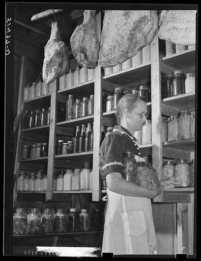 Mrs. Watkins (project family) in her smokehouse showing canned foods and cured meat. Coffee, Alabama