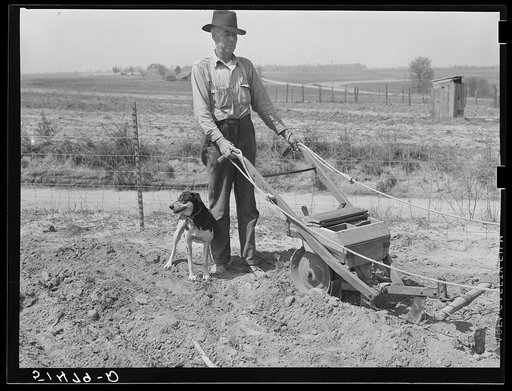 Mr. Watkins with peanut planter and dog. Coffee County, Alabama