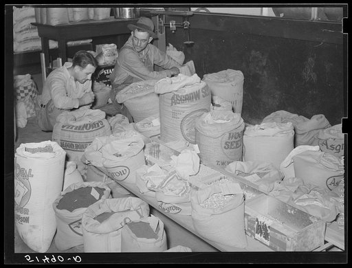 Farmer buying seed. Farmers' exchange, Enterprise, Coffee County, Alabama