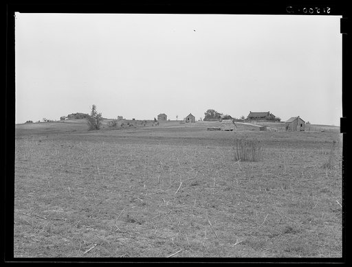 Untitled photo, possibly related to: Negro landowners showing some newer, smaller shacks between Montgomery and Camden. Alabama