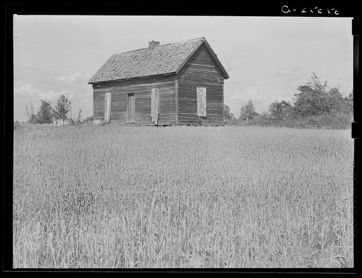 Untitled photo, possibly related to: Old deserted shack, tenant house, in grain field. Greene County, Georgia