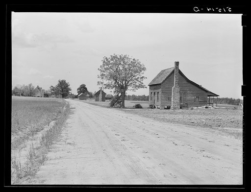 Untitled photo, possibly related to: Old deserted shack, tenant house, in grain field. Greene County, Georgia