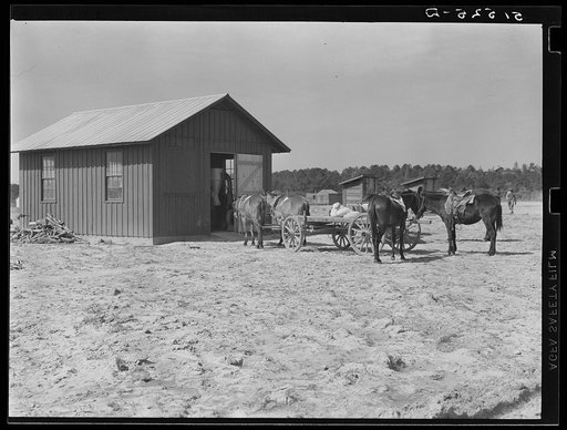 Cooperative grist mill, where project families bring corn to be ground (see bags on wagon). Gee's Bend, Alabama