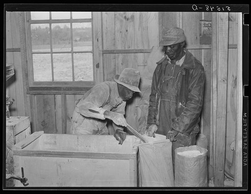 Project families have their corn ground into meal at cooperative grist mill. Gee's Bend, Alabama