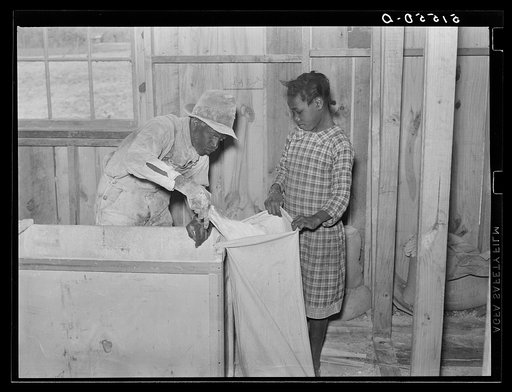 Children of project families often bring the corn to cooperative grist mill for grinding into meal. Gee's Bend, Alabama