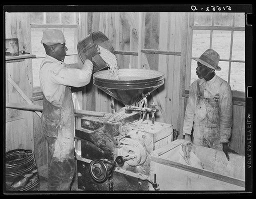 Project famililes have their corn ground into meal at cooperative grist mill. Gee's Bend, Alabama