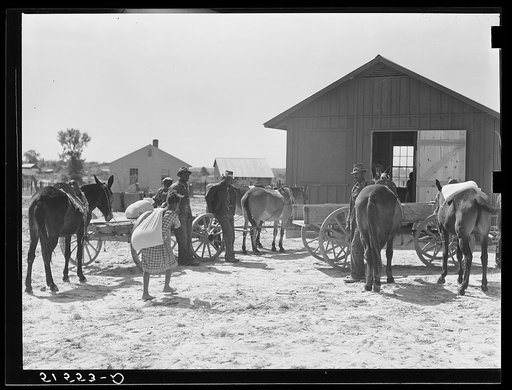 Project families bring their corn to cooperative grist mill for grinding into meal. Gee's Bend, Alabama