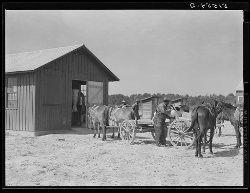 Cooperative grist mill where project families bring corn to be ground. Gee's Bend, Alabama
