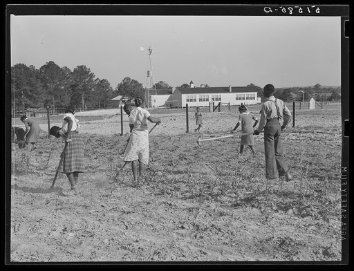 School garden. Gee's Bend, Alabama