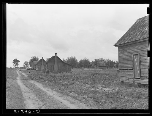 Untitled photo, possibly related to: Part of old plantation showing line of tenant houses along road leading to main house. Georgia