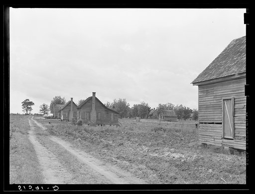 Untitled photo, possibly related to: Part of old plantation showing line of tenant houses along road leading to main house. Georgia