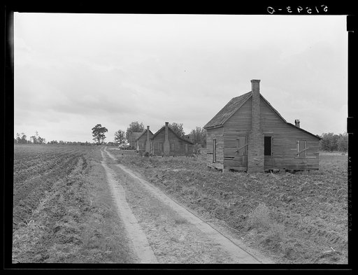 Part of old plantation showing line of tenant houses along road leading to main house. Georgia