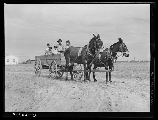 Ben Turner and family in their wagon with mule team. Flint River Farms, Georgia
