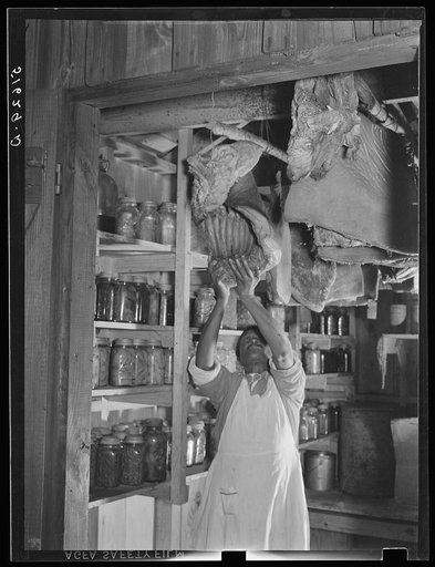 Mrs. Missouri Thomas in her smokehouse showing canned goods and cured meat. Flint River Farms, Georgia