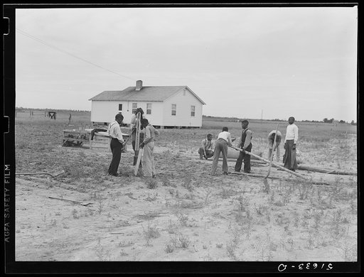 Group of sixth and seventh grade boys constructing poultry yard fence. They built the brooder in shop class at school. Flint River Farms, Georgia