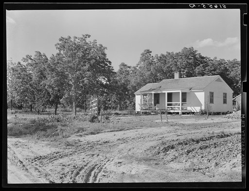 Jesse Stubs' home and pecan grove, a cash crop. Flint River Farms, Georgia