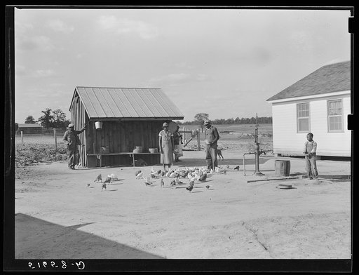 Manuel McLandon's wife and son and some of their poultry, also their smokehouse. Flint River Farms, Georgia
