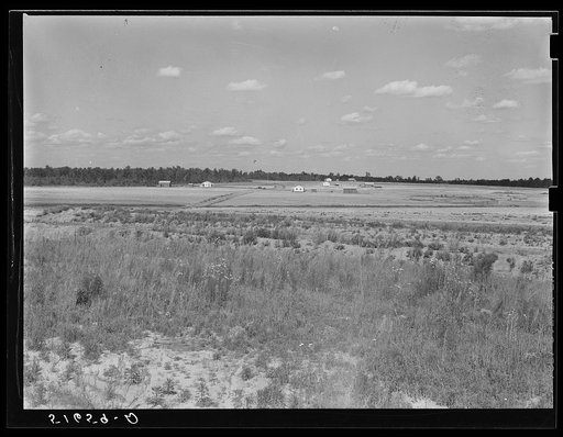 General view of section on Flint River Farms, Georgia