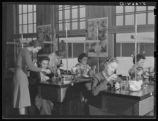 Science class in school at Ashwood Plantations, South Carolina