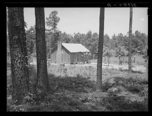 Sharecropper cabin with tin roof. Greene County, Georgia