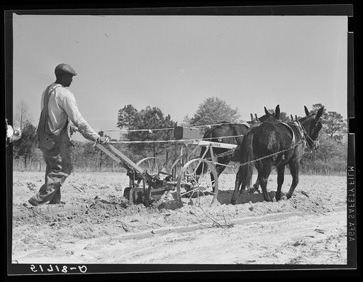 Mr. Charlie McGuire (tenant purchase borrower) with his two mules and cultivator. Pike County, Alabama