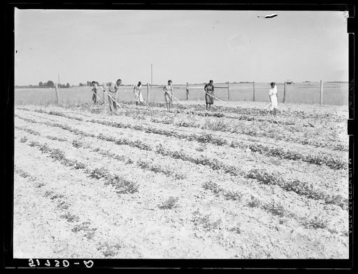 School garden, produced by NYA (National Youth Administration) girls, with the help and guidance of Mr. Ellis Whitaker, vocational director and principal of school. Flint River Farms, Georgia