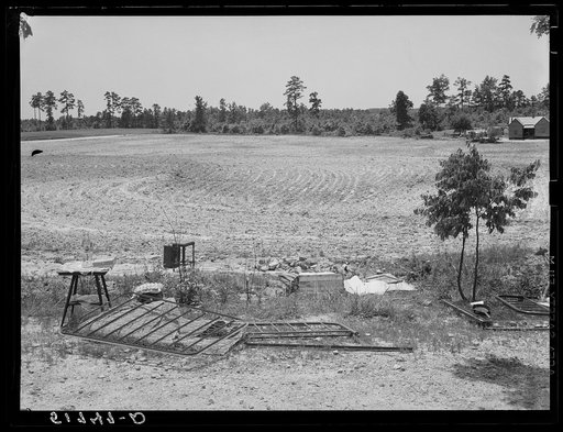 Untitled photo, possibly related to: The remaining household goods after fire destroyed the home of a farm wagehand (day laborer, seventy-five cents per day) on a three acre piece of land owned by his mother. Greene County, Georgia