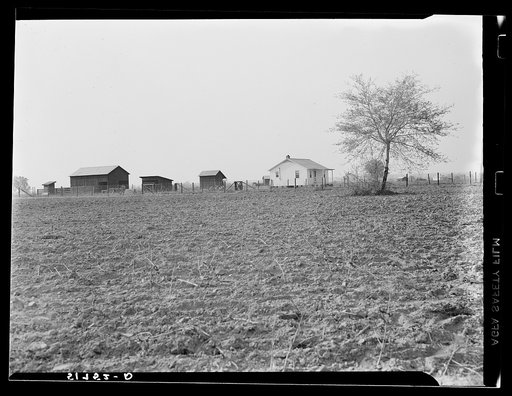 New project house and other units. Prairie Farms, Alabama