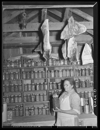 Mrs. Brown in her smokehouse with home-canned goods and cured meat. Prairie Farms, Alabama