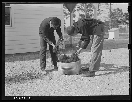 Students gather and clean moss to be used in shop class. Prairie Farms, Alabama