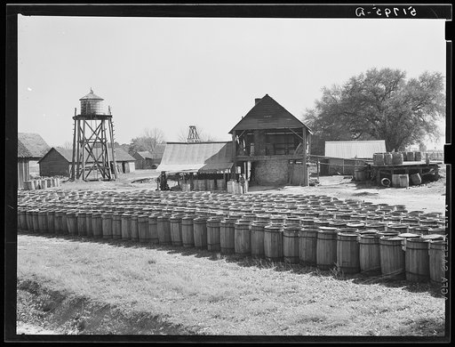 Turpentine still with barrels of resin in foreground. Iron City, Alabama