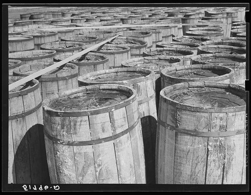 Barrels of resin in front of turpentine still. Iron City, Alabama