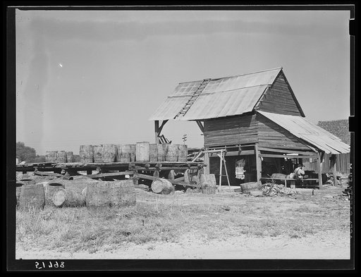 Barrels of pine sap brought to turpentine still. Iron City, Alabama
