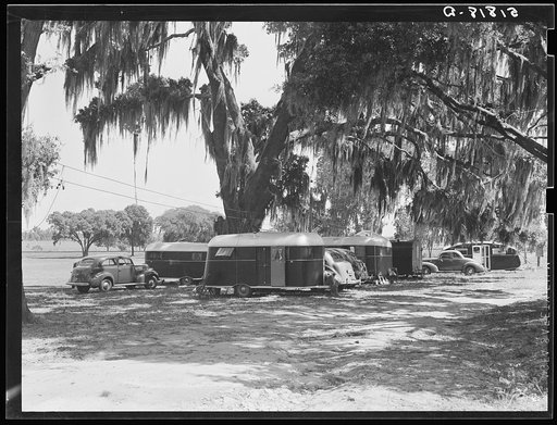 Tourist camp, showing many modern trailers crowded together, some of the families remaining for weeks and months. Dade City, Florida