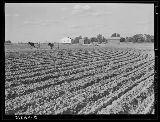 Untitled photo, possibly related to: Andrew Whittaker's home and land. Flint River Farms, Georgia